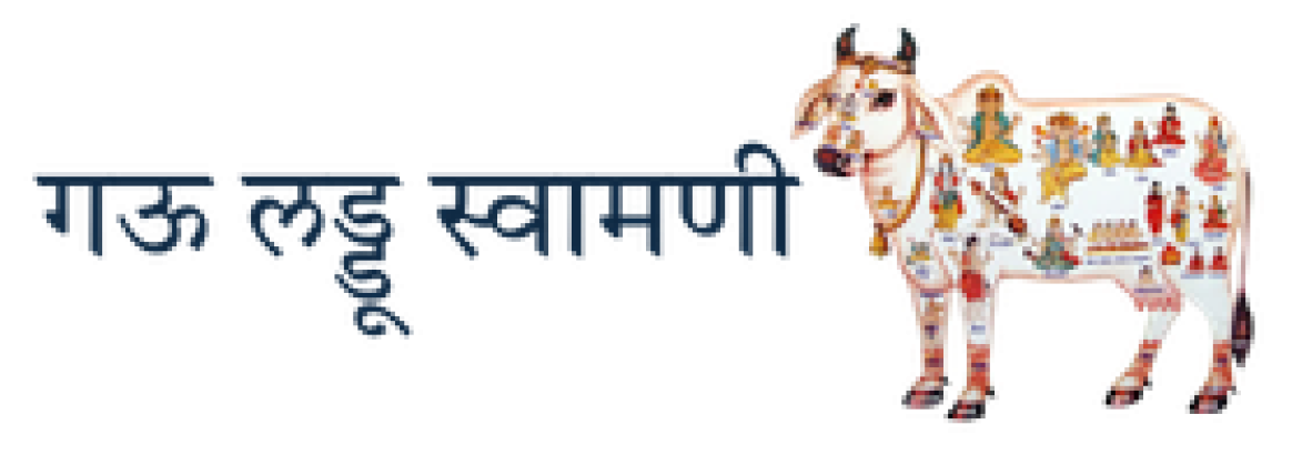 Pixel growth infotech